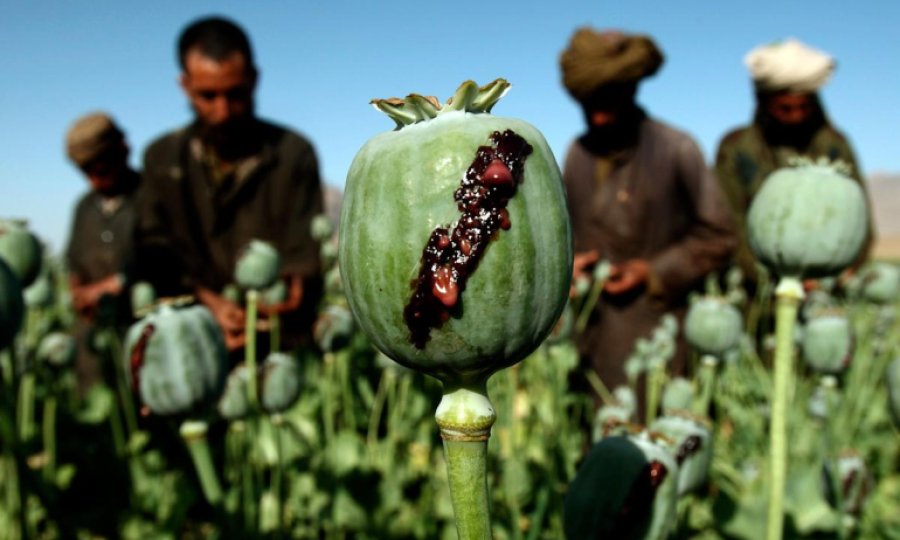 CIA’in Afganistan’daki biyolojik savaşı